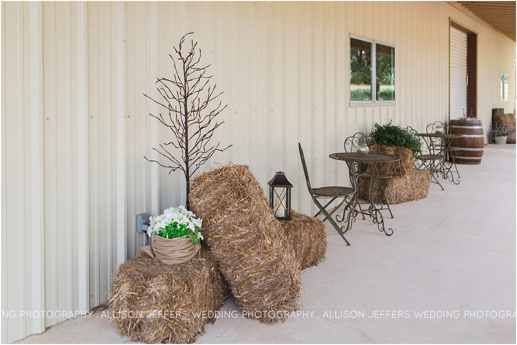 DIY Ranch Wedding Kerrville Texas Elegant_0083
