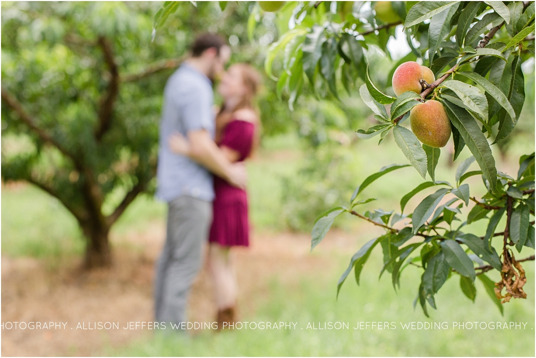 fredericksburg wedding photographer peach orchard engagement session fredericksburg proposal