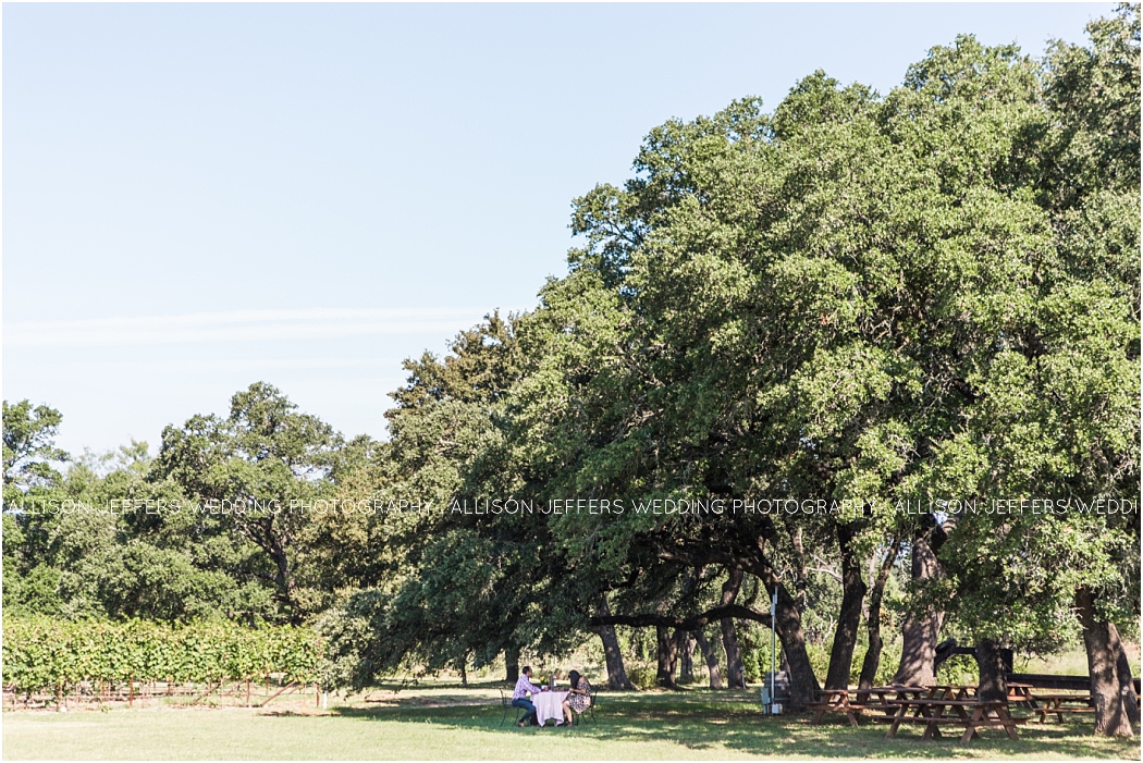 a-fredericksburg-proposal-at-william-and-chris-winery_0003