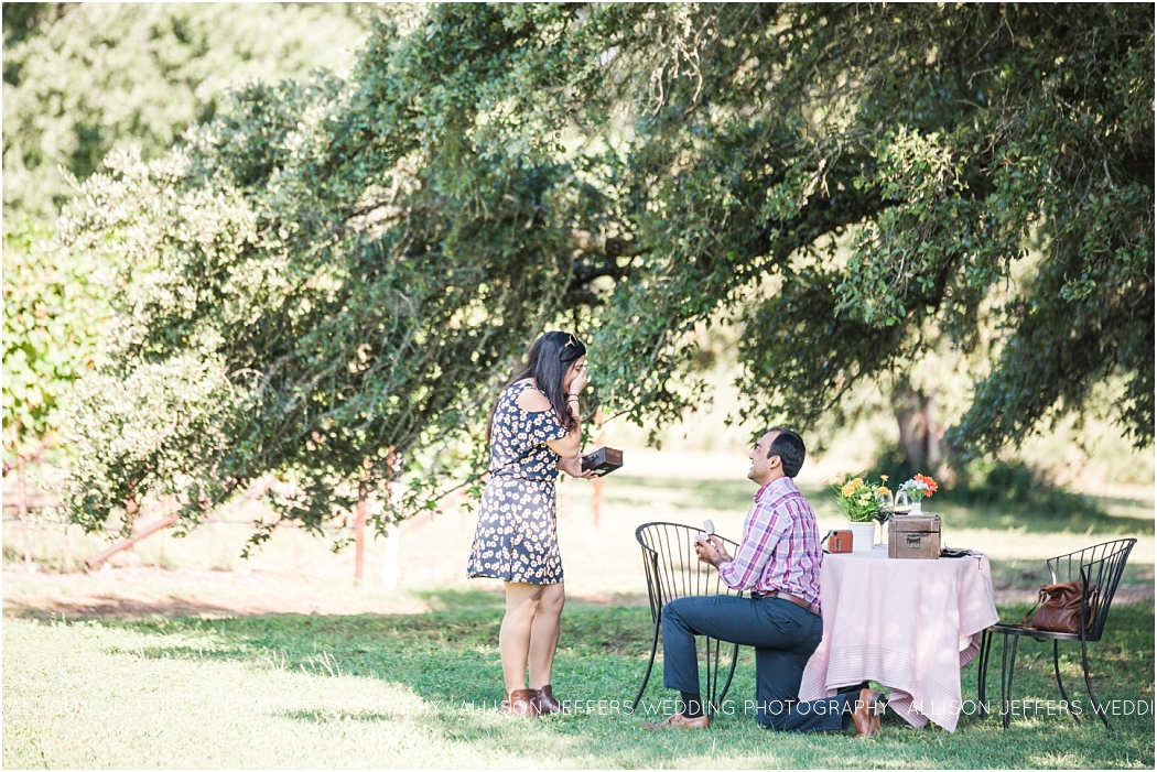 a-fredericksburg-proposal-at-william-and-chris-winery_0005