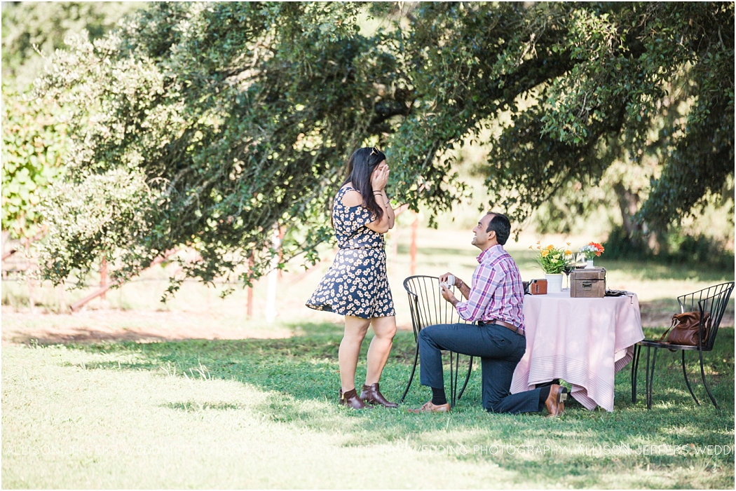 a-fredericksburg-proposal-at-william-and-chris-winery_0006