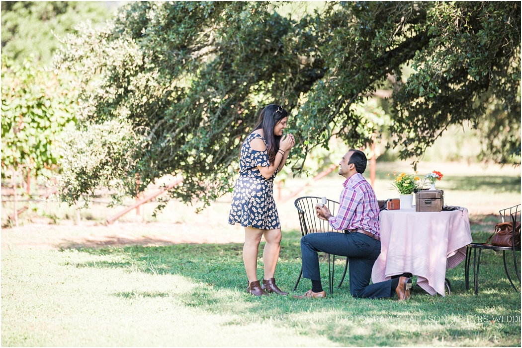 a-fredericksburg-proposal-at-william-and-chris-winery_0007